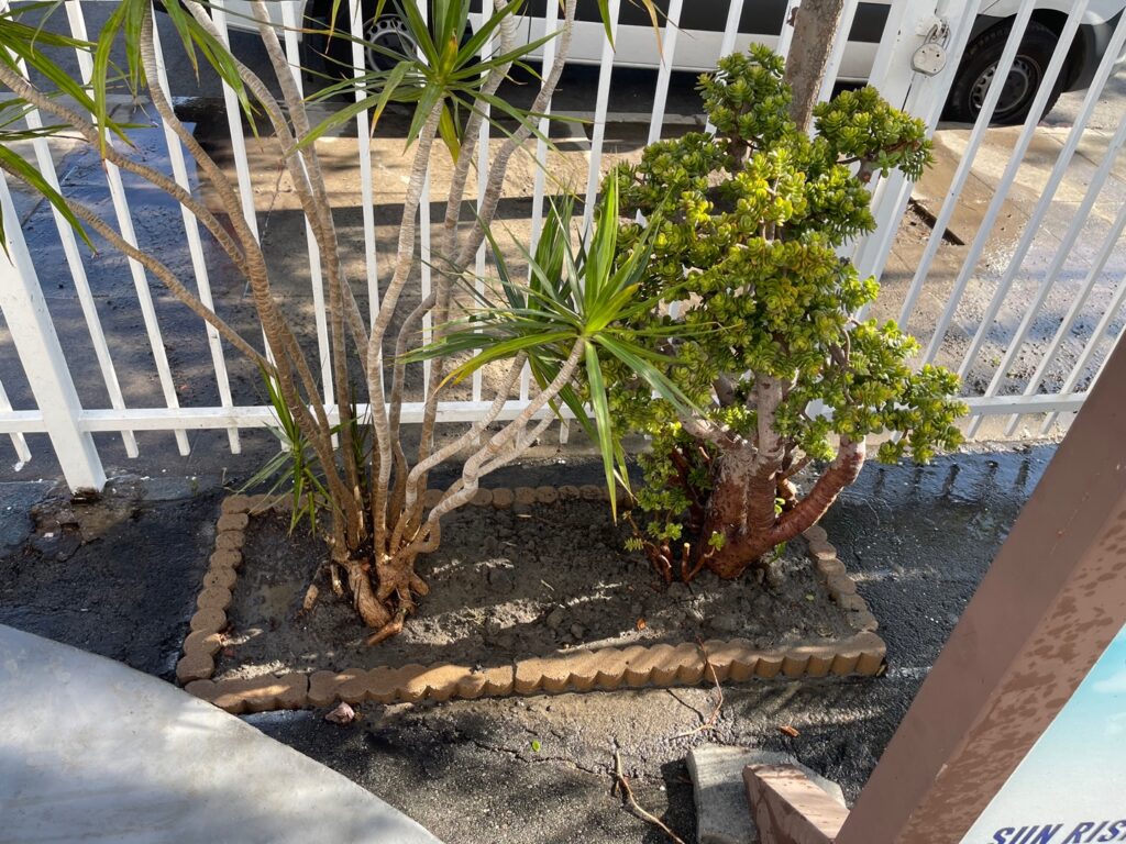 KakaoTalk_Photo_2021-08-29-14-11-56 006